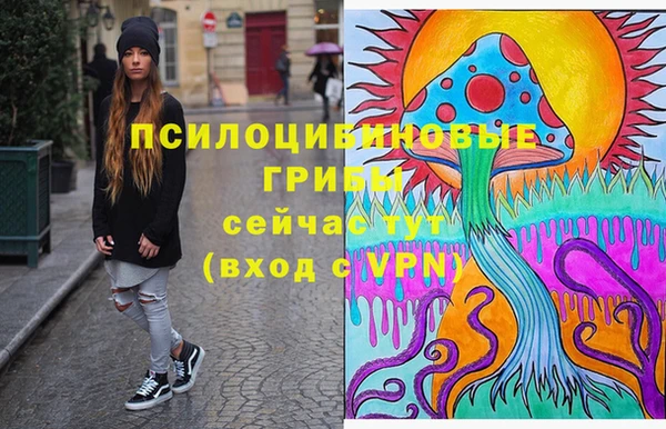 мдпв Заволжье