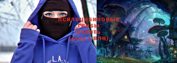 скорость Заводоуковск
